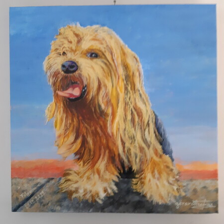 Mon Filou  2010-2025
